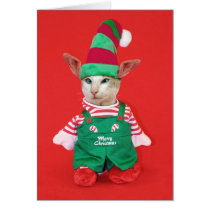 Christmas Cat Elf cards