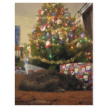 Christmas Cat Personalized Flyer