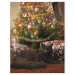 Christmas Cat Flyer Design