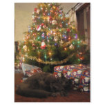 Christmas Cat flyers
