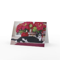 Christmas Cat Greeting Card