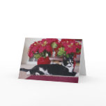 Christmas Cat Greeting Card