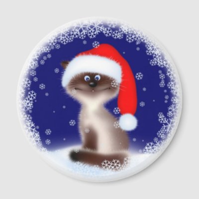 Christmas Cat in Santa Hat magnets