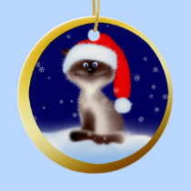 Christmas Cat in Santa Hat ornaments