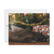 Christmas Cat invitations by thedustyphoenix Christmas Cat invitations