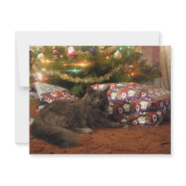 Christmas Cat Personalized Invitation