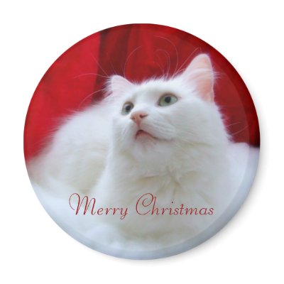 Christmas Cat Fridge Magnets by JCatGarden