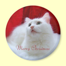 Christmas Cat magnets by JCatGarden Christmas Cat magnets
