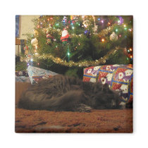Christmas Cat magnets
