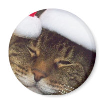 Christmas cat magnet by iona847 Christmas cat magnet