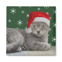 Christmas Cat Magnet magnets