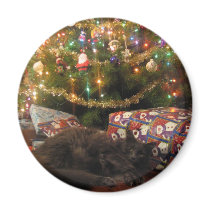 Christmas Cat magnets
