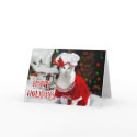 Christmas Cat - Mrs Claws Christmas Cat Card