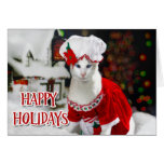 Christmas Cat - Mrs Claws Christmas Cat Card