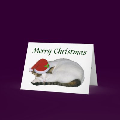 Christmas Cat Nap Card by naturegirl7
