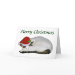 Christmas Cat Nap Card