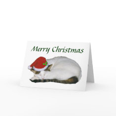 Christmas Cat Nap Card card