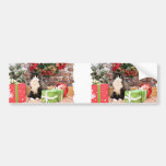 Christmas - Cat - Persian - George Bumper Sticker