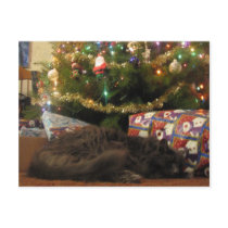 Christmas Cat postcards
