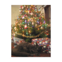 Christmas Cat postcards