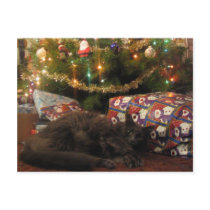 Christmas Cat postcards
