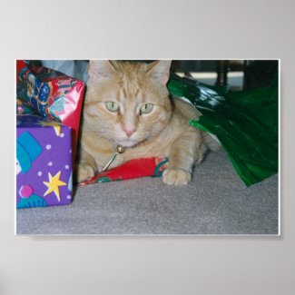 Christmas Cat print