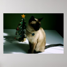 Christmas Cat Poster