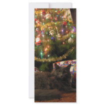 Christmas Cat Custom Rack Cards
