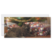 Christmas Cat Full Color Rack Card
