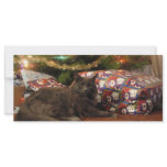 Christmas Cat Full Color Rack Card