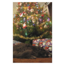 Christmas Cat Stationery Design