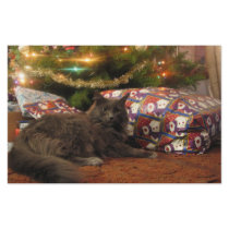 Christmas Cat stationery by thedustyphoenix Christmas Cat stationery