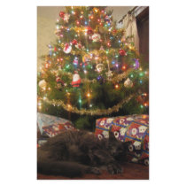 Christmas Cat Stationery Paper