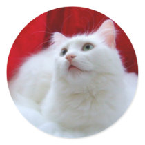 Christmas Cat stickers