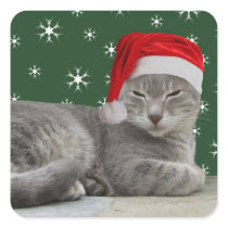Christmas Cat Stickers stickers
