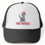 Christmas Cat T-shirts and Gifts