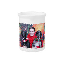 Christmas - Catahoula Brita and Labrador Cooper Drink Pitcher