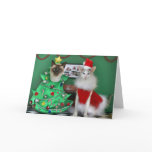 Christmas Cats Card