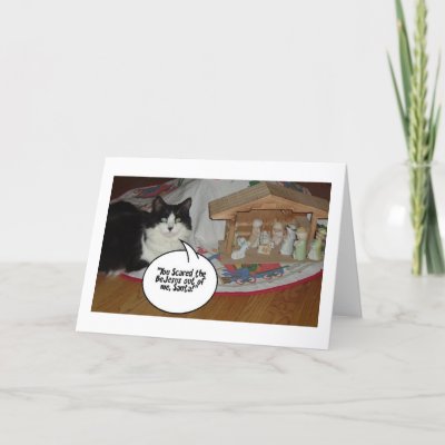 Christmas Cats cards