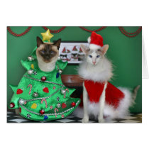 Christmas Cats cards