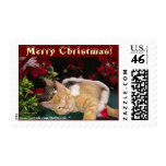 Christmas Cats, Cute Kittens Hugging, Kitty Smile Postage Stamps