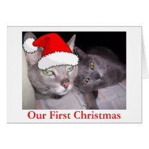 Christmas Cats Greeting Cards