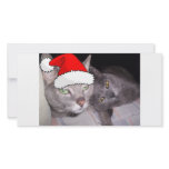 Christmas Cats Customized Photo Card