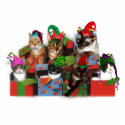 Christmas Cats photo sculptures