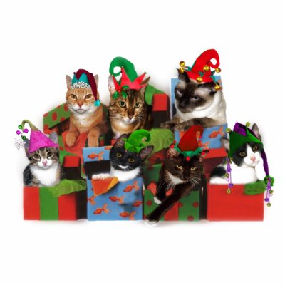 Christmas Cats photo sculptures