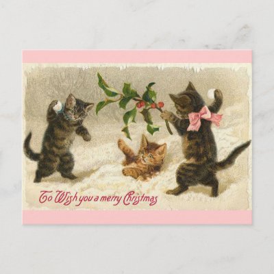 Christmas Cats postcards