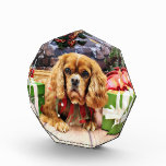 Christmas - Cavalier King Charles Spaniel - Lily Acrylic Award