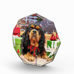 Christmas - Cavalier King Charles Spaniel SweetPea Awards