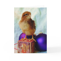 Christmas Chick 2 Cards