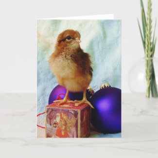 Christmas Chick 2 card